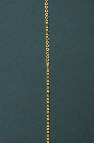 Back Chain